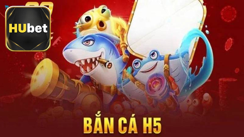 Bộ sưu tập ưu đãi hấp dẫn mà bạn không thể bỏ lỡ